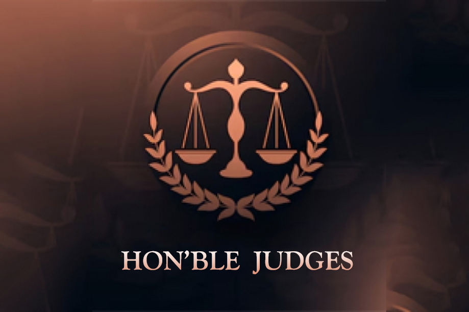 Judge Role